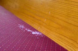 Cleaning wax off of church furniture fabric